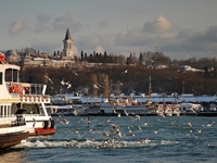 Topkapi Palace Sea Gulls